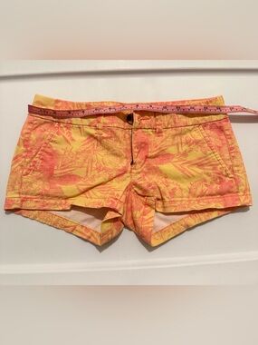 American Eagle shorts.